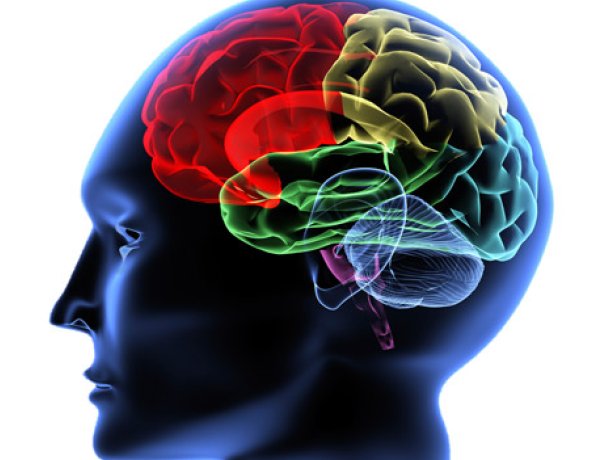 img_Estimular-cérebro-com-eletricidade-pode-acelerar-o-aprendizado