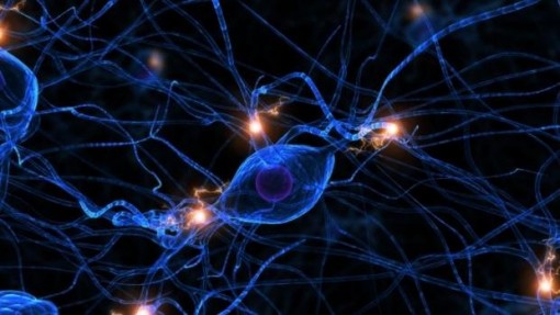 esclerose-neuronios-cerebro-20110608-size-62