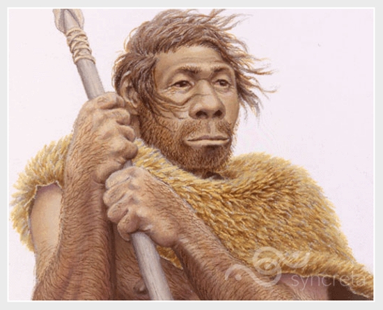 homo-sapiens-neanderthalensis